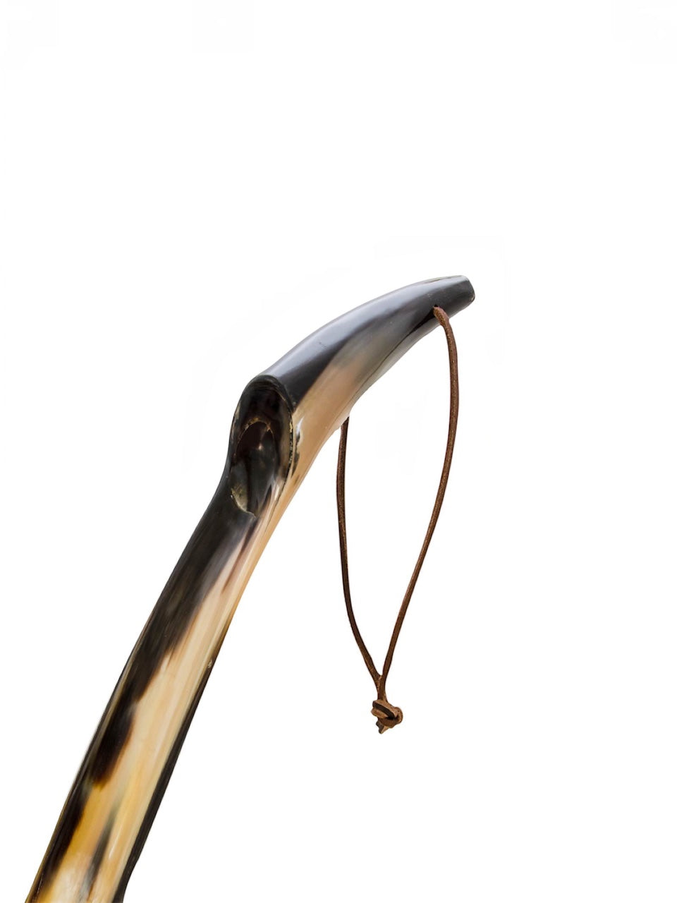 Pasotti 1956 WATER BUFFALO HORN SHOEHORN