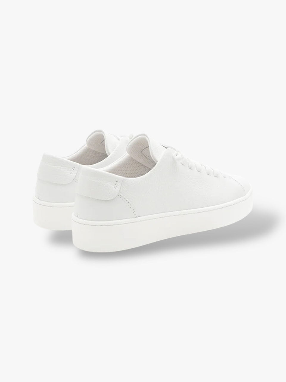 Grain Leather Sneakers Sole White